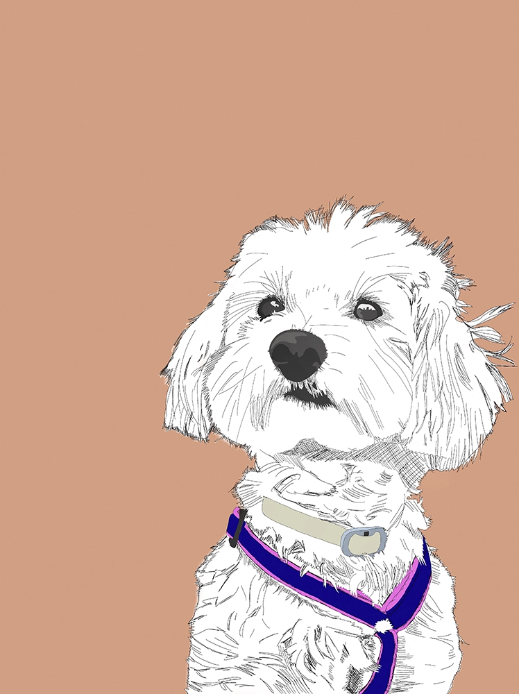 Ilustración digital dana